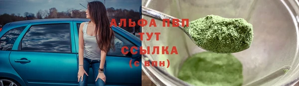 молекула духа Арсеньев