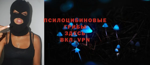 амф Алексин