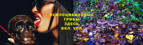амф Алзамай