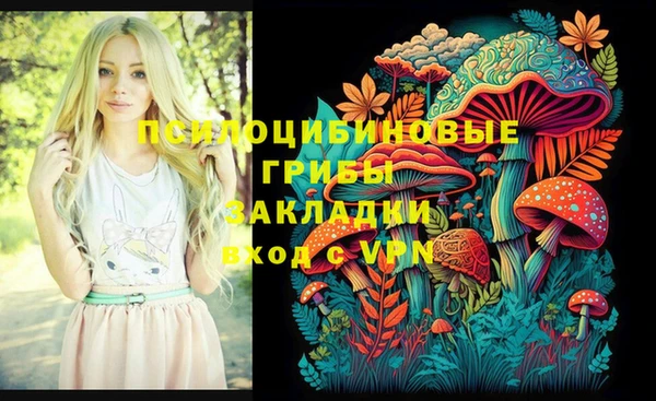 молекула духа Арсеньев