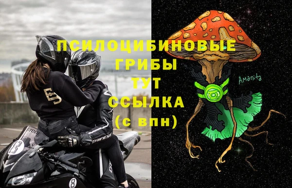 амф Алзамай