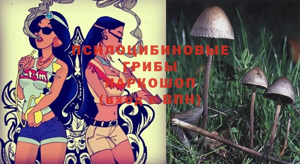 герыч Алексеевка