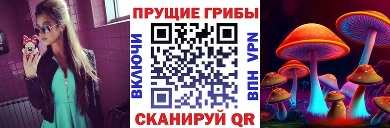 Купить закладки  Чапаевск  Галлюциногенные грибы Psilocybine cubensis 